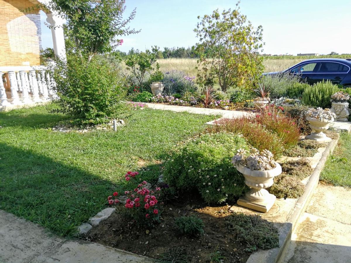 Villa Flora Maris Apartments Privlaka  Εξωτερικό φωτογραφία